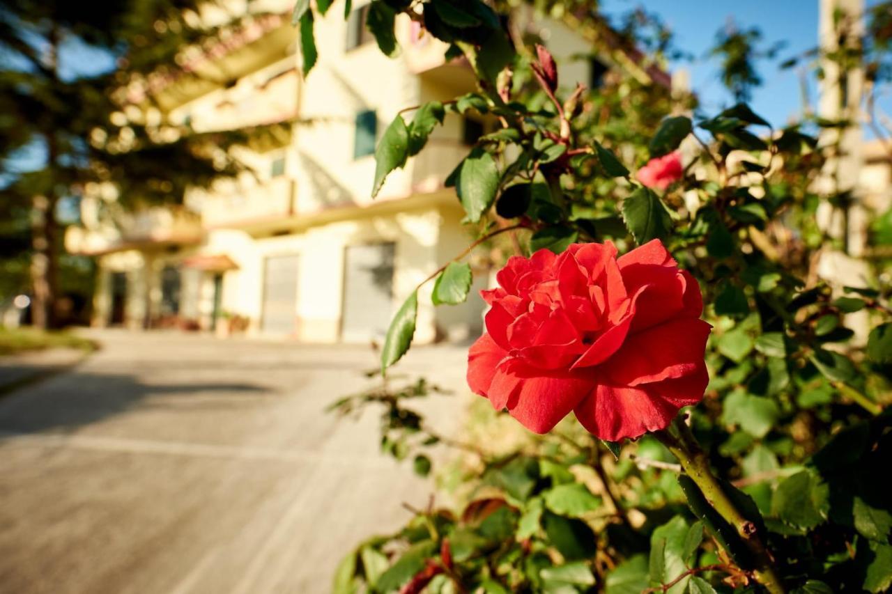 Bouganville House - Casa Vacanze Triparni エクステリア 写真